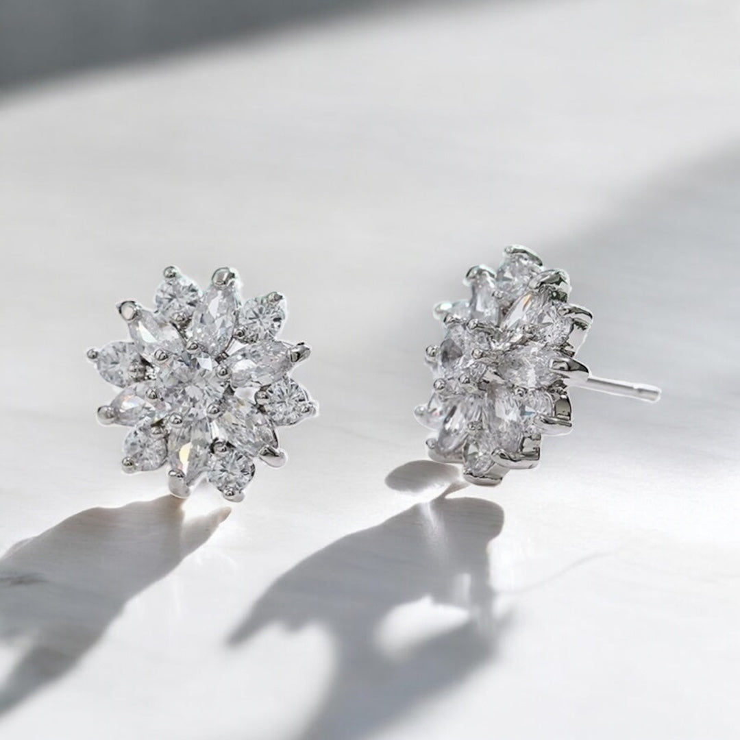 HTN-797-2 | Earrings
