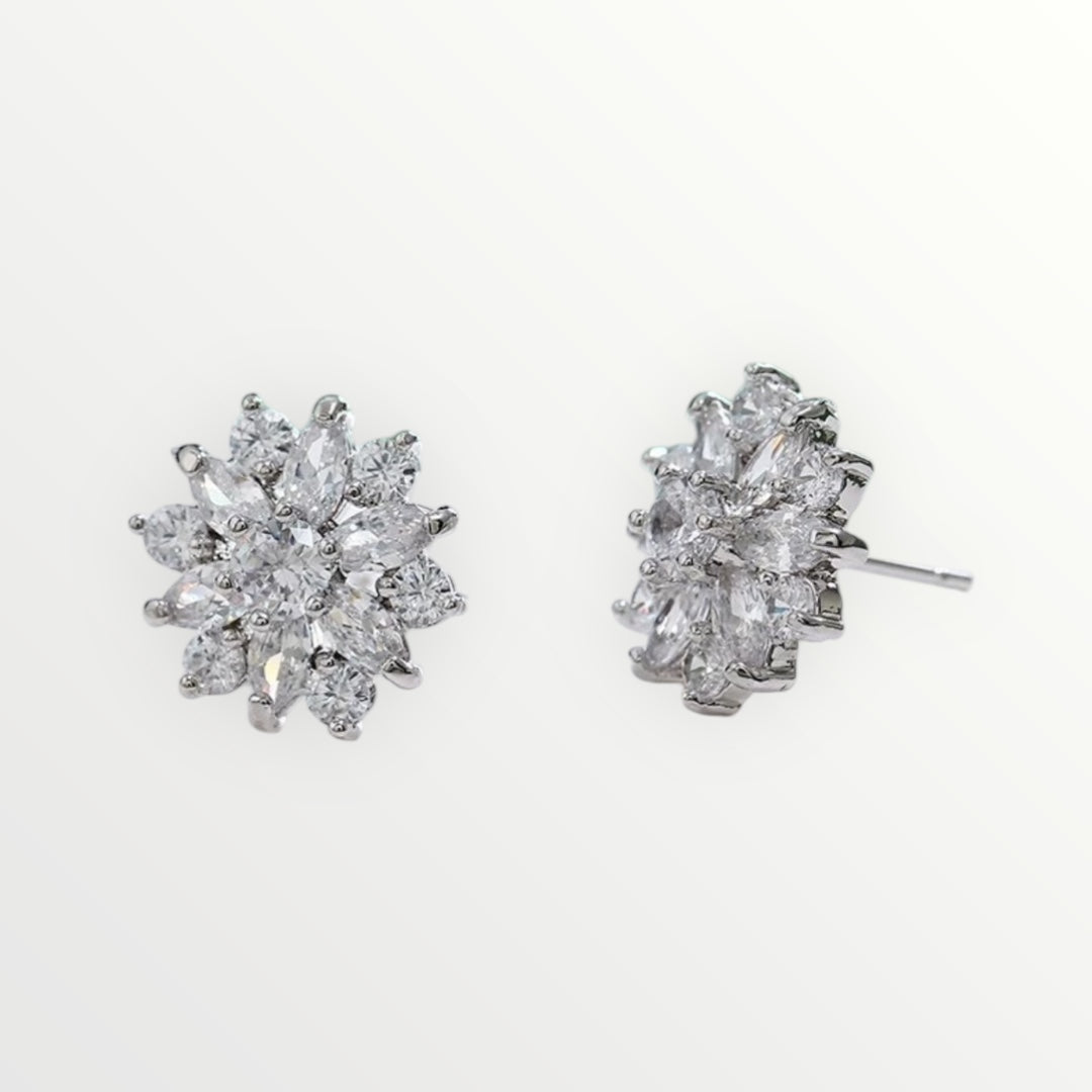 HTN-797-2 | Earrings